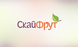 РНКБ Банк предоставил финансирование АО «SKYfruit»