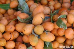 Экзотические фрукты из Таиланда